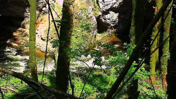 나무 식물 도로 백그라운드 자국 자연 산 풍경 사람없음 건물 목재 초록색 물 하이킹 가을 소나무 체리 개울 역사 숲 신비 대만 지역 내추럴 뿌연 선로 옛날 전국 MOV 해외동영상 클립영상 자연요소 건축물 계절 아시아 길 컬러 컨셉 과일 재료 교통시설 레저 강 생태계 동영상 파일형식