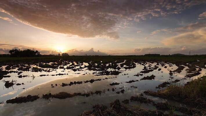 계절 도로 길 모래 백그라운드 밭 농업 자연 하늘 아침 날씨 사람없음 야외 빨간색 초록색 태양 반사 일출 환경 맑음 일몰 젖음 시골 저녁 땅 먼지 폭풍 진흙 내추럴 수평선 4K 타임랩스 MP4 해외동영상 클립영상 주간 자연요소 산업 컬러 교통시설 촬영기법 노을 야간 생태계 동영상 파일형식