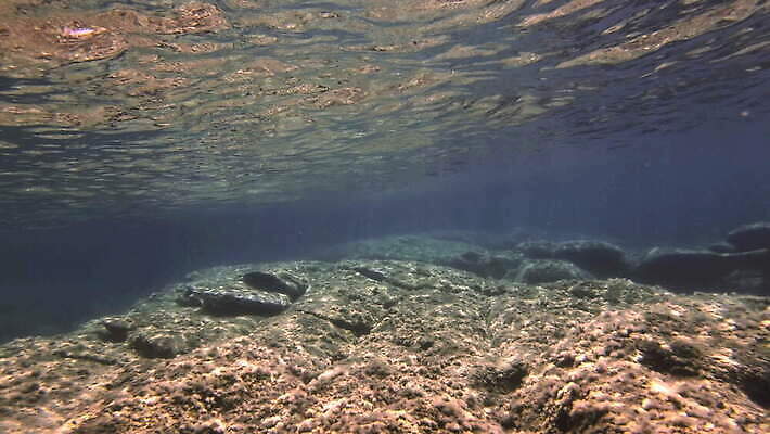 동물 야생동물 바다 컬러 여행 백그라운드 자연 멕시코 어류 사람없음 빨간색 물 여름 파란색 빛 햇빛 태양 뷰티 수중 수영 광선 동굴 산호 아래 사진사 생태계 다이빙 장면 암초 깊이 칸쿤 4K 수중영상 MOV 해외동영상 클립영상 자연요소 계절 북아메리카 수중동물 수상스포츠 자포동물 방향 작가 위치 동영상 수중스포츠 파일형식