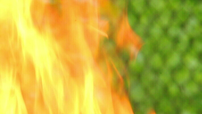 나무 디자인 선 파도 백그라운드 패턴 오렌지 모션 자연 추상 프레임 따뜻함 사람없음 목재 빨간색 빛 컬러풀 노란색 검은색 힘 에너지 뜨거움 연기 위험 모닥불 질감 매움 온도 연소 광 엘리먼트 지옥 화상 MOV 해외동영상 클립영상 식물 바다 컬러 컨셉 무늬 과일 재료 불 맛 상처 생태계 동영상 파일형식