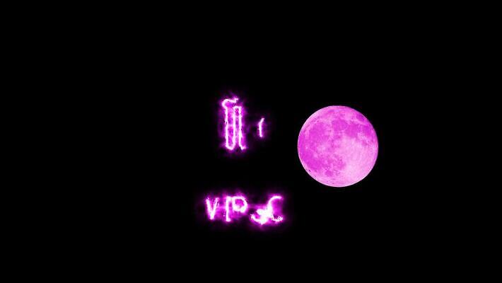 분홍색 과학 백그라운드 하늘 사람없음 빨간색 빛 우주 어둠 힘 달 혈액 야간 숲 신비 전갈 기아 가득함 심볼 사인 점성술 마법 양자리 물병자리 사자자리 처녀자리 염소자리 쌍둥이자리 천칭자리 물고기자리 암 황소자리 궁수 효과 4K MP4 해외동영상 클립영상 자연요소 컬러 컨셉 절지류 별자리 질병 사회이슈 동영상 파일형식