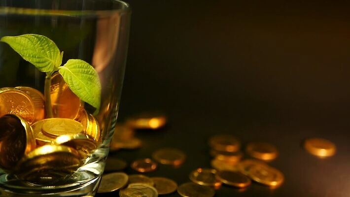 나무 식물 컨셉 잎 돈 비즈니스 모션 유리 성공 잔 아이디어 사람없음 컵 초록색 금융 경제 노란색 금속 동전 검은색 저축 성장 항아리 시장 재산 황금 가격 회전 투자 이익 가치 느림 회계 유지 대출 개발 고립 관심 수입 MOV 해외동영상 슬로모션 클립영상 식기 컬러 재질 촬영기법 도자기 동영상 파일형식