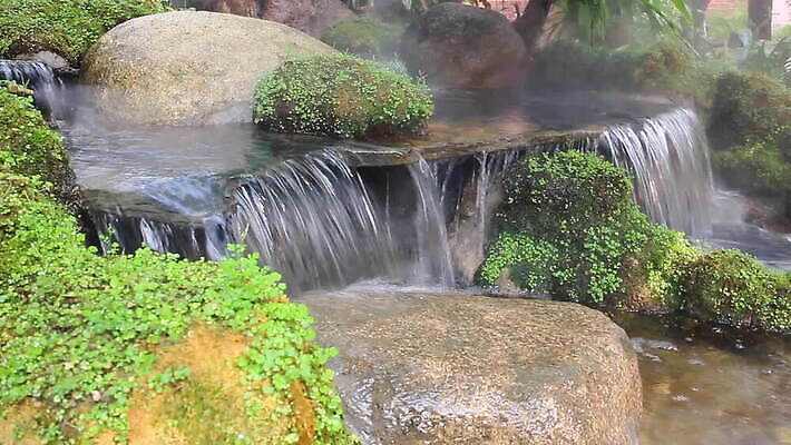 나무 식물 라이프스타일 단풍 태국 자연 날씨 사람없음 야외 물 강 마을 환경 침묵 봄 폭포 농촌 시골 연못 신선 개울 붓기 민물 핸드메이드 MOV 해외동영상 클립영상 자연요소 계절 아시아 잎 모션 생활 소리 생태계 동영상 파일형식