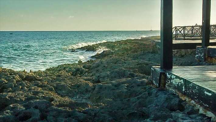 모래 파도 바다 섬 여행 우산 자연 휴가 휴식 멕시코 손바닥 해변 사람없음 관광지 야자수 태양 평화 일몰 뜨거움 충돌 묘사 휴양지 암초 마야 이국적 칸쿤 파라다이스 화창 4K MP4 해외동영상 클립영상 자연요소 나무 손 컨셉 북아메리카 날씨 노을 장소 생태계 마야문명 동영상 파일형식