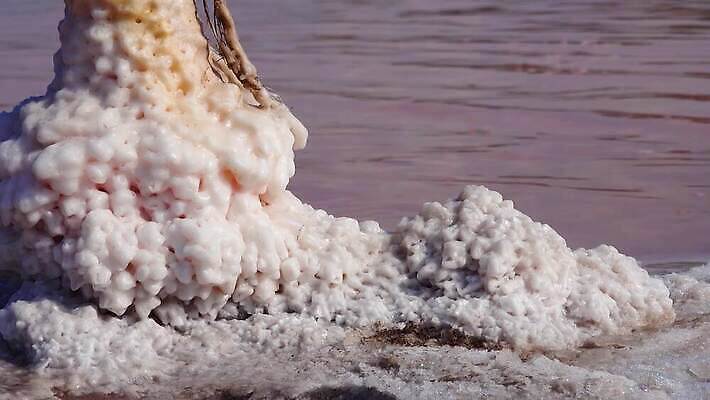 호수 바다 백그라운드 자연 사람없음 야외 물 흰색 약초 크리스탈 휴양지 진흙 결정체 지구온난화 내추럴 우크라이나 짠맛 오데사 4K MP4 해외동영상 클립영상 자연요소 유럽 컬러 장소 풀_식물 맛 광석 생태계 동영상 기후변화 파일형식