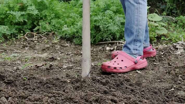 1 지구 포크 컨셉 농업 채소 모션 발 자연 사람 사람없음 야외 정원 흙 봄 공구 시골 작업 닫기 원예 먼지 진흙 땅바닥 땅파기 밭일 쇠스랑 양발 4K MP4 해외동영상 클립영상 식기 계절 산업 바닥 취미 신체부위 도구 생태계 동영상 파일형식