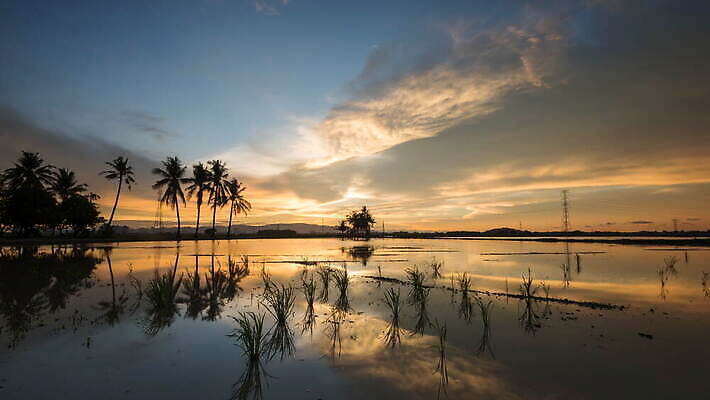 나무 실루엣 여행 자연 휴가 휴식 주택 손바닥 사람없음 야외 빨간색 초록색 물 컬러풀 태양 반사 일몰 새벽 수확 흰색 윤곽 4K 타임랩스 MOV 해외동영상 클립영상 자연요소 식물 손 컬러 컨셉 농업 촬영기법 건물 노을 생태계 동영상 파일형식