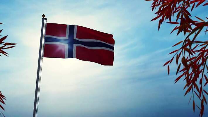 나무 구름 배너 실루엣 물결 파도 백그라운드 하늘 바람 노르웨이 사람없음 그래픽 여름 햇빛 태양 흐름 자유 깃발 불기 군용 만들기 지역 깃대 봉 애니메이션 동영상 애국심 명예 오슬로 전국 정부 통일 4K MOV 해외동영상 클립영상 자연요소 식물 계절 유럽 바다 컨셉 모션 날씨 군대 촬영기법 파일형식