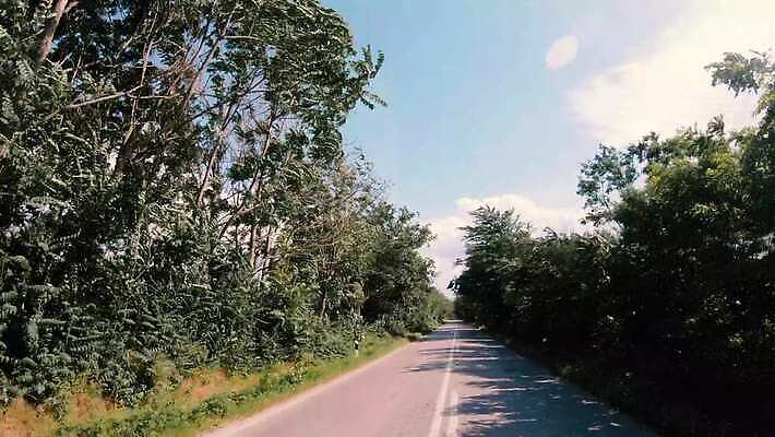 나무 식물 계절 공원 유럽 도로 길 선 여행 백그라운드 잎 교통시설 모션 자연 풍경 사람없음 야외 목재 초록색 여름 빛 햇빛 환경 어둠 꿈 운전 낭만 시골 터널 숲 아스팔트 아치 공상 마법 포인트 내추럴 깊이 루트 방법 삼림지대 1인칭시점 4K MP4 해외동영상 클립영상 시선 공공시설 나라 컬러 교통 컨셉 재료 금융 태양 시설 생태계 동영상 파일형식