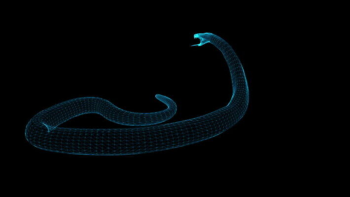 동물 선 백그라운드 파충류 자연 미래 프레임 미술 사람없음 3D 뱀 벌레 위험 영화관 트로피 만들기 덮기 철사 그런지 엘리먼트 특별함 홀로그램 스타일 와이어프레임 효과 MOV 해외동영상 클립영상 곤충 컨셉 모션 문화예술 극장 상_우승 디지털합성 생태계 동영상 파일형식