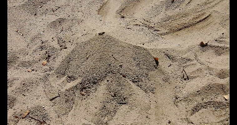 모래 파도 놀이 사람없음 야외 여름 모래사장 노란색 쌓기 맑음 가을 바위 떨어짐 낟알 천 분화구 충격 무거움 운석 작살 4K MOV 해외동영상 클립영상 계절 바다 컬러 컨셉 모션 날씨 돌_바위 직물 무게 화산 동영상 파일형식