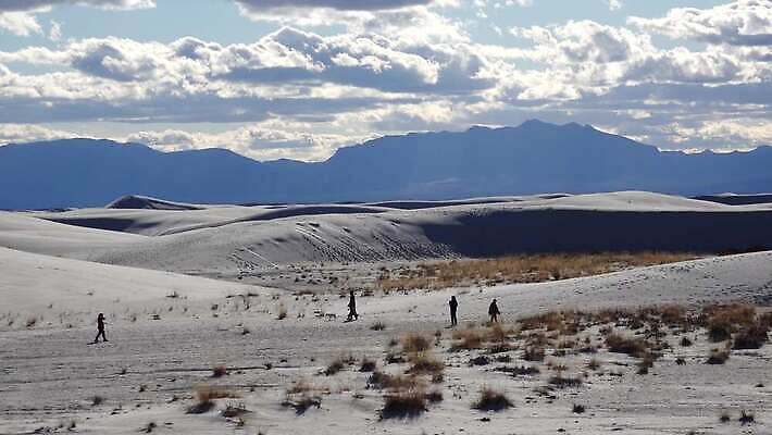 식물 공원 모래 파도 조각 여행 패턴 곡선 자연 하늘 새로움 건조 풍경 사람없음 파란색 모래사장 일출 미국 일몰 사막 흰색 황무지 모래언덕 언덕 질감 가뭄 기념물 천연기념물 내추럴 뉴멕시코 잔물결 전국 지질학 4K MP4 해외동영상 클립영상 공공시설 교육 물결 선 바다 컬러 컨셉 북아메리카 무늬 날씨 노을 생태계 동영상 파일형식