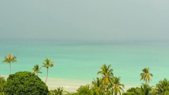 나무 파도 바다 컬러 섬 여행 자연 하늘 휴가 휴식 손바닥 사람없음 물 파란색 빛 환경 맑음 흰색 만 고급 휴양지 코코넛 천국 흐림 석호 이국적 터키석 파라다이스 포상금 폭풍우 MOV 해외동영상 클립영상 자연요소 식물 손 컨셉 돈 과일 날씨 장소 비_날씨 보석 자연재해 생태계 동영상 파일형식