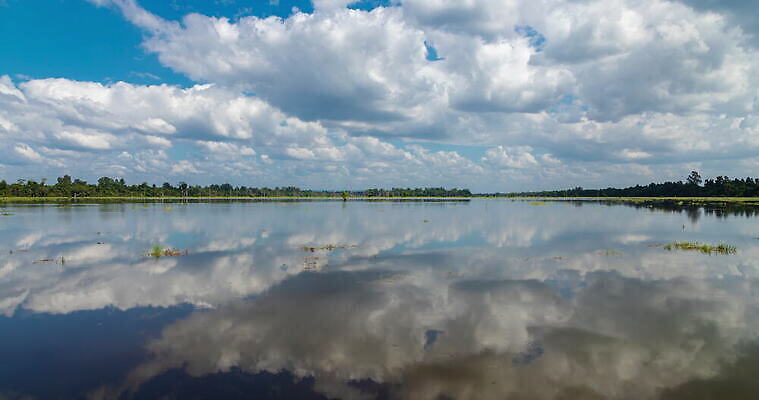 나무 구름 아시아 호수 섬 여행 백그라운드 이동 자연 표면 풍경 사람없음 물 강 햇빛 반사 거울 연못 사찰 보트 해조류 역사 습지 저녁 숲 크리스탈 어부 캄보디아 신성 지역 랜드마크 적란운 수평선 효과 4K 타임랩스 MOV 해외동영상 클립영상 자연요소 식물 직업 나라 컨셉 배_교통 종교건축 촬영기법 태양 해양식물 야간 광석 생태계 동영상 파일형식 구름_자연