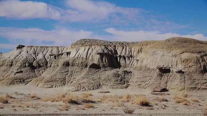 공원 자연 산 멕시코 건조 국립공원 풍경 사람없음 야외 가로 스터디 계곡 미국 사막 탐험 외계인 가을 바위 황무지 사암 뉴멕시코 전국 지질학 특별함 불모지 4K 건조기후 MP4 해외동영상 클립영상 계절 공공시설 교육 컨셉 북아메리카 학습 미확인물체 돌_바위 생태계 동영상 파일형식