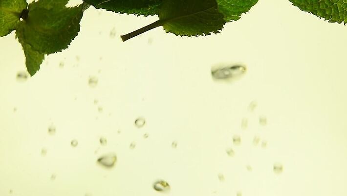 음료 음식 잎 재료 모션 유리 건강 요리 사람없음 옆모습 초록색 물 수중 거품 가을 신선 칵테일 항아리 투명 액체 던지기 닫기 차 떨어짐 빨래 냄비 컨테이너 찻주전자 민트 허브 순수 묘사 상쾌 함선 각도 느림 모히토 투입 MOV 해외동영상 클립영상 자연요소 식물 계절 감정 산업 뷰포인트 컬러 컨셉 가사 배_교통 재질 주전자 주류 도자기 솥 동영상 파일형식