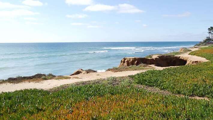 응시 파도 바다 조류 하늘 바람 휴가 파노라마 경사 잔디 사람없음 물 하이앵글 야자수 미국 돌산 고도 부식 캘리포니아 태평양 항공촬영 다육식물 흉터 수평선 그리너리 4K MP4 해외동영상 클립영상 자연요소 나무 식물 동물 시선 뷰포인트 북아메리카 날씨 산 촬영기법 상처 동영상 파일형식 트랜드컬러