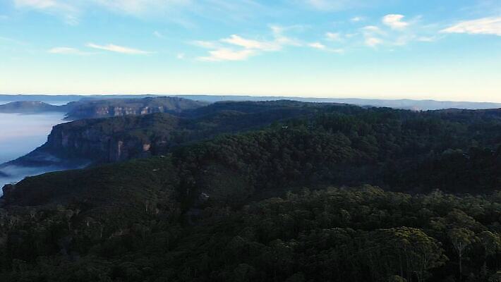 나무 구름 계절 여행 자연 날씨 산 안테나 풍경 사람없음 야외 초록색 파란색 여행객 환경 계곡 추위 안개 흰색 호주 숲 땅 머리위 동영상 흐림 드론 내려보기 4K MP4 해외동영상 클립영상 자연요소 식물 컬러 통신 모션 사람 오세아니아 생태계 파일형식