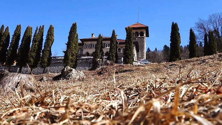 나무 전통 유럽 문화 여행 건축양식 산 주택 사람없음 건물 파란색 관광지 탑 궁전 가을 중세 역사 숲 맨션 박물관 산봉우리 루마니아 천연기념물 르네상스 명승지 옛날 트란실바니아 MOV 해외동영상 클립영상 식물 건축물 계절 건축 나라 컬러 고건축 풍경 봉우리 동영상 파일형식