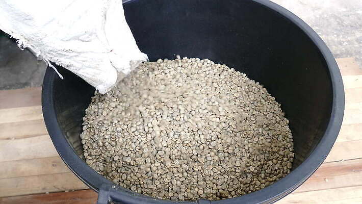 산업 커피 농업 재료 공장 태국 콩 건조 씨앗 사람없음 농작물 갈색 기계 유기농 날것 방법 아라비카 양피지 4K MOV 해외동영상 클립영상 식물 웰빙 아시아 음료 컬러 공업 곡류 동영상 파일형식