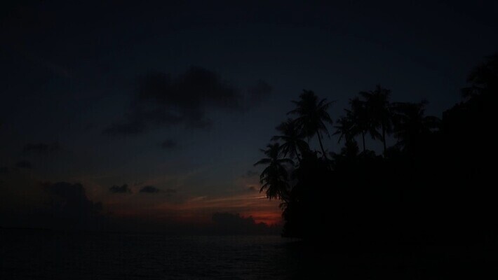 실루엣 모래 파도 바다 섬 여행 백그라운드 오렌지 태국 자연 하늘 휴가 사람없음 야외 물 햇빛 태양 노란색 일출 중국 황혼 일몰 신혼여행 야간 저녁 하와이 몰디브 카리브해 파라다이스 푸켓 수평선 MOV 해외동영상 클립영상 자연요소 아시아 컬러 결혼 과일 촬영기법 노을 미국 생태계 동영상 파일형식