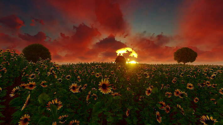 식물 계절 꽃잎 꽃 백그라운드 잎 꽃무늬 밭 농업 오렌지 자연 하늘 해바라기 풍경 초원 사람없음 야외 초록색 여름 파란색 농작물 햇빛 태양 농장 노란색 일출 맑음 일몰 수확 성장 벚꽃 시골 개화 황금 땅 유기농 꽃가루 천국 내추럴 밭일 많음 4K MOV 해외동영상 클립영상 자연요소 웰빙 산업 컬러 컨셉 무늬 과일 날씨 노을 가루 생태계 동영상 파일형식