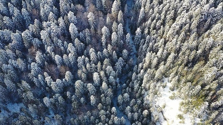 나무 계절 공원 여행 백그라운드 크리스마스 겨울 자연 벽지 날씨 산 안테나 파노라마 풍경 사람없음 야외 목재 환경 냉동 얼음 추위 흰색 신선 소나무 정상 숲 서리 장면 상록수 침엽수 내추럴 항공촬영 넘어짐 드론 조감도 눈내림 가문비나무 4K MP4 해외동영상 클립영상 자연요소 식물 공공시설 기념일 뷰포인트 컬러 재료 통신 모션 눈_날씨 촬영기법 생태계 동영상 파일형식