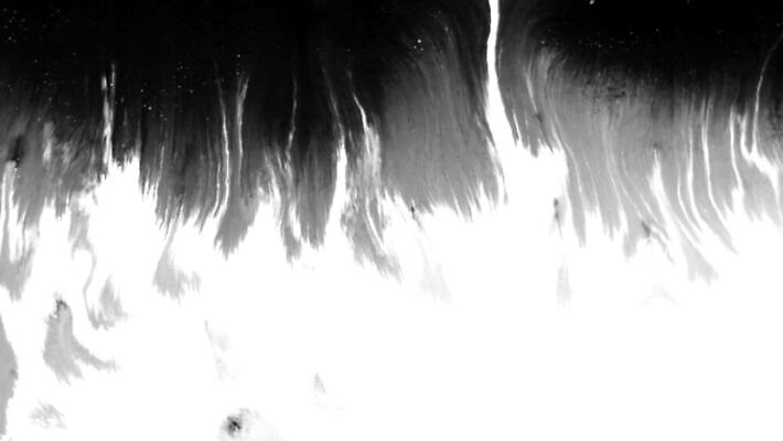 모양 디자인 실루엣 종이 백그라운드 패턴 자연 추상 수채화 잉크 미술 사람없음 그래픽 물 검은색 페인트 펼침 젖음 흐름 흰색 붓 점 액체 혈액 떨어짐 정상 유기농 질감 합성 쇼 쏟아짐 고립 그런지 국경 화면전환 MOV 해외동영상 클립영상 자연요소 웰빙 컬러 컨셉 무늬 모션 문화예술 촬영기법 생태계 동영상 파일형식