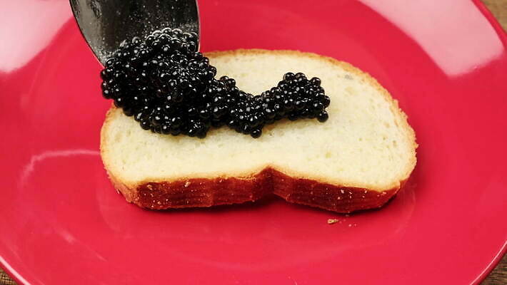 접시 음식 빵 조각 재료 샌드위치 건강 어류 사람없음 빨간색 계란 검은색 식사 흰색 신선 고급 맛 아침식사 정상 먹기 해산물 날것 식품점 절임 짠맛 캐비아 프리미엄 맛있는 4K MOV 해외동영상 클립영상 식기 컬러 컨셉 식재료 모션 상점 알 수중동물 동영상 파일형식