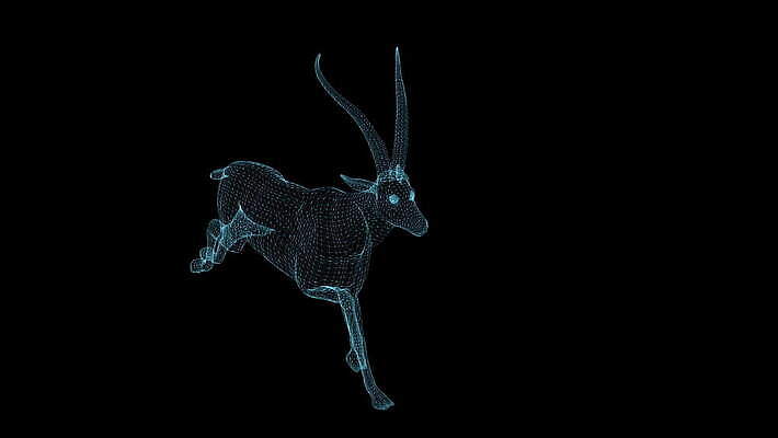 동물 공원 야생동물 포즈 백그라운드 포유류 모션 자연 사슴 뿔 사람없음 야외 달리기 점프 흰색 우아함 사파리 속도 생물학 영양 애니메이션 가젤 고립 동물상 전국 와이어프레임 효과 4K MOV 해외동영상 클립영상 공공시설 교육 컬러 컨셉 조형물 생태계 동영상 파일형식