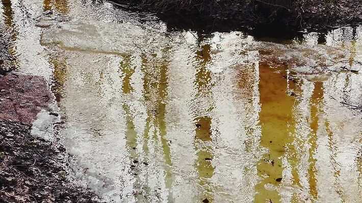 나무 식물 계절 호수 컬러 여행 백그라운드 자연 풍경 사람없음 야외 목재 물 컬러풀 반사 추위 가을 흰색 물방울 나뭇가지 시골 연못 원형 액체 개울 황금 떨어짐 숲 시력 러시아 에메랄드 웅덩이 청록색 내추럴 땅바닥 눈내림 환상 4K MOV 해외동영상 클립영상 자연요소 도형 유럽 컨셉 재료 바닥 눈_날씨 강 보석 생태계 동영상 파일형식