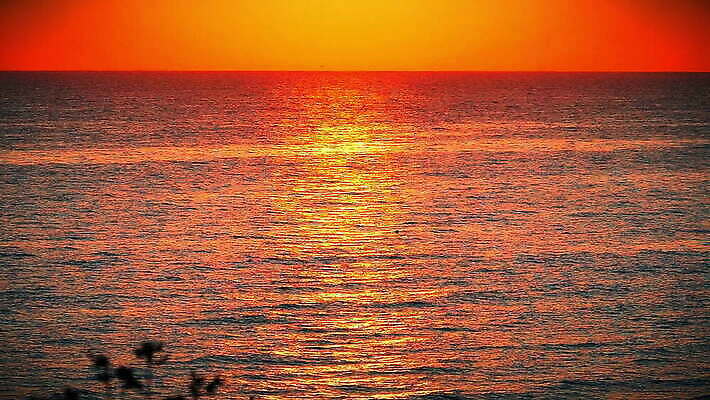 물결 바다 컬러 여행 백그라운드 오렌지 자연 표면 아침 휴가 사람없음 야외 빨간색 물 빛 반짝임 햇빛 태양 반사 평화 일출 맑음 고요 일몰 광선 만 황금 저녁 공상 수평선 깜빡이다 MOV 해외동영상 슬로모션 클립영상 주간 자연요소 컨셉 과일 모션 날씨 촬영기법 노을 야간 생태계 동영상 파일형식