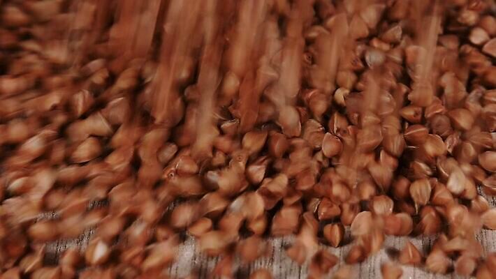 음식 백그라운드 재료 모션 탁자 표면 건조 건강 요리 사람없음 목재 갈색 주방 가을 붓기 닫기 낟알 자르기 시리얼 굽기 먹기 메밀 롤 쏟아짐 느림 흙더미 내추럴 그런지 튕기기 많음 MOV 해외동영상 클립영상 나무 계절 컬러 가구 컨셉 식재료 흙 구이 동영상 파일형식 더미