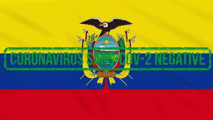 과학 백그라운드 신체 세포 건강 사람없음 치료 초록색 약 자유 깃발 고리 바이러스 질병 디지털합성 예방 생물학 감염 미생물 에콰도르 애니메이션 우표 박테리아 돌리기 백신 부정적 전염병 증상 치유 항생제 사스 코로나바이러스 4K MOV 해외동영상 클립영상 교육 감정 컬러 컨셉 의학 모션 생물 남아메리카 동영상 파일형식