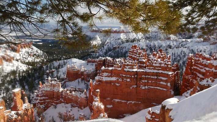 여행 겨울 자연 파노라마 국립공원 풍경 사람없음 빨간색 골짜기 미국 트래킹 하이킹 소나무 황무지 선탠 정상 인도인 지역 안심 사암 포인트 애리조나 첨탑 전나무 감탄 랜드마크 오리지널 원형극장 지질학 특별함 화성 수평선 4K MP4 해외동영상 클립영상 외국인 나무 계절 공원 교육 컬러 컨셉 북아메리카 레저 촬영기법 육류 동양인 금융 탑 행성 돌_바위 극장 생태계 동영상 파일형식