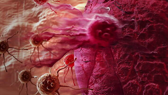 모양 과학 해부 세포 건강 현미경 사람없음 약 손상 고통 실험실 수리 입자 질병 위험 유기농 생물학 만들기 미생물 충격 염색체 애니메이션 암 유전 종양 화학물질 4K MOV 해외동영상 클립영상 웰빙 교육 감정 컨셉 의학 모션 생물 실험기구 실험 화학 생명공학 동영상 파일형식