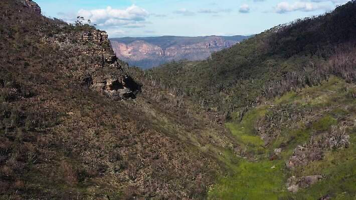 나무 구름 여행 잎 자연 하늘 산 안테나 풍경 사람없음 야외 초록색 여름 파란색 갈색 환경 계곡 호주 숲 암초 동영상 드론 4K MP4 해외동영상 클립영상 자연요소 식물 계절 컬러 통신 오세아니아 생태계 파일형식