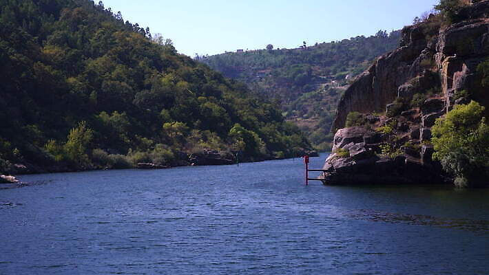 유럽 여행 밭 농업 자연 사람없음 야외 초록색 강 농장 골짜기 계곡 시골 위험 크루즈 포르투갈 언덕 좁은 포트 도루강 4K MOV 해외동영상 클립영상 나라 산업 컬러 컨셉 배_교통 생태계 동영상 파일형식