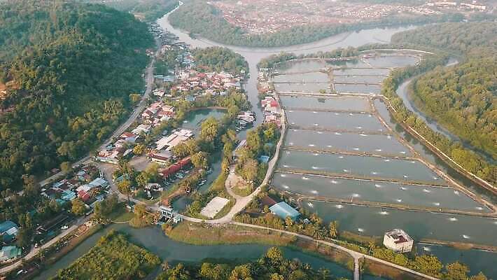 산업 바다 농업 비즈니스 낚시 안테나 어류 사람없음 물 농장 환경 신선 그물 보트 해산물 낚시꾼 어장 드론 밭일 수경재배 4K MOV 해외동영상 클립영상 자연요소 배_교통 통신 레저 수중동물 동영상 파일형식