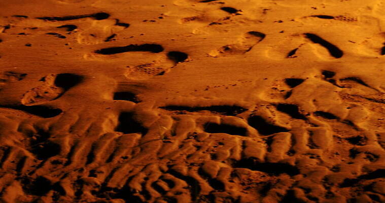 디자인 아시아 도로 모래 파도 여행 백그라운드 패턴 자연 추상 휴가 미술 사람없음 환경 맑음 희망 사막 시간 뜨거움 구멍 야간 저녁 사파리 언덕 질감 온도 동쪽 고립 방법 오해 진짜 케랄라주 4K MOV 해외동영상 클립영상 자연요소 감정 나라 길 바다 무늬 교통시설 날씨 문화예술 인도_나라 방향 생태계 동영상 파일형식