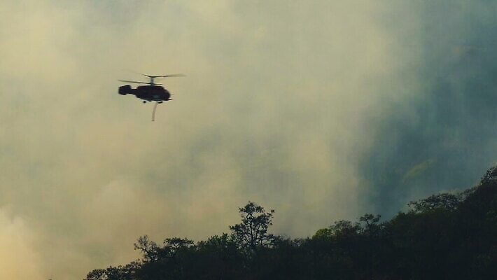 나무 태국 산 안테나 사람없음 야외 물 여름 환경 황무지 연기 헬리콥터 호주 보호 열대우림 소방 캘리포니아 산불 내추럴 소방헬리콥터 재앙 MOV 해외동영상 클립영상 자연요소 식물 계절 아시아 컨셉 통신 비행기 미국 오세아니아 숲 화재 동영상 파일형식