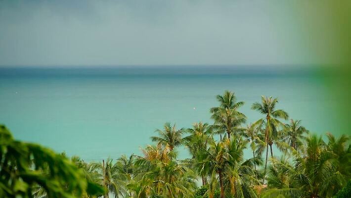 나무 바다 섬 여행 백그라운드 모션 태국 자연 하늘 날씨 휴가 휴식 파노라마 손바닥 사람없음 물 파란색 햇빛 맑음 어둠 고급 휴양지 코코넛 천국 흐림 석호 내추럴 이국적 터키석 파라다이스 포상금 폭풍우 MOV 해외동영상 클립영상 자연요소 식물 손 아시아 컬러 컨셉 돈 과일 촬영기법 태양 장소 비_날씨 보석 자연재해 생태계 동영상 파일형식