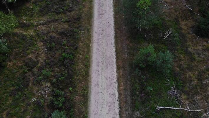 나무 식물 직업 외관 꽃 도로 바다 컬러 백그라운드 밭 자국 자연 조류 하늘 표면 독일 안테나 이끼 풍경 잔디 초원 사람없음 초록색 파란색 빛 하이앵글 환경 정원 거친 숲 질감 회전 슛 내추럴 그런지 드론 4K MP4 해외동영상 클립영상 동물 유럽 길 뷰포인트 농업 통신 교통시설 생태계 동영상 파일형식