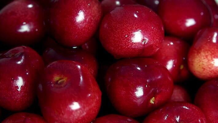 접시 열매 음식 컬러 백그라운드 농업 다이어트 과일 재료 디저트 건강 식이요법 사람없음 빨간색 물 빛 숫자 식사 주스 젖음 신선 원형 체리 닫기 달콤 맛 다발 먹기 유기농 회전 날것 흙더미 내추럴 숙성 채식주의자 맛있는 4K MP4 해외동영상 클립영상 자연요소 도형 식물 문자 식기 웰빙 산업 음료 컨셉 모션 흙 채식 동영상 파일형식 더미