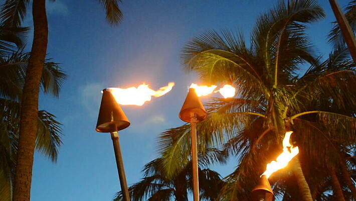 나무 라이프스타일 실루엣 섬 여행 오렌지 하늘 호텔 불 휴가 휴식 열대 손바닥 사람없음 빛 파티 여행객 일출 황혼 일몰 새벽 시골 등불 야간 저녁 휴양지 하와이 태평양 멀리 폴리네시아 파라다이스 하와이인 알로하 MOV 해외동영상 클립영상 자연요소 외국인 식물 손 바다 컨셉 과일 숙소 조명 촬영기법 사람 이벤트 생활 노을 미국 장소 인사 오세아니아 동영상 파일형식