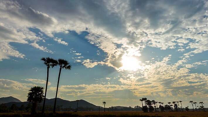 나무 식물 실루엣 백그라운드 이동 밭 오렌지 자연 하늘 표면 아침 바람 산 손바닥 잔디 사람없음 파란색 빛 컬러풀 태양 일출 황혼 일몰 새벽 시골 소 군중 저녁 질감 내추럴 막 4K 타임랩스 MP4 해외동영상 클립영상 주간 자연요소 손 컬러 컨셉 농업 과일 포유류 날씨 촬영기법 사람 노을 야간 생태계 동영상 파일형식