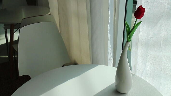 컨셉 거실 창문 호텔 바람 아파트 주택 실내 매달리기 사람없음 장식 인테리어 유행 침실 직물 커튼 투명 우아함 순수 심플 부드러움 사생활 카피스페이스 비어있는 MOV 해외동영상 클립영상 자연요소 디자인 모션 숙소 날씨 내부 건물 공백 감각 동영상 파일형식