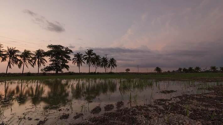 공원 모래 컬러 오렌지 자연 건조 풍경 사람없음 야외 여름 컬러풀 태양 여행객 환경 뜨거움 땅 사인 먼지 가뭄 내추럴 고립 4K 타임랩스 MP4 해외동영상 클립영상 자연요소 계절 공공시설 과일 날씨 촬영기법 사람 생태계 동영상 파일형식