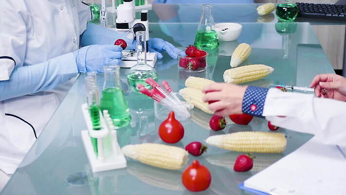 식물 직업 응시 산업 과학 토마토 딸기 노동자 건강 병원 현미경 실험 옥수수 안전 사람 약 장비 시험 의사 코트 작업 실험실 생명공학 연구원 과학자 유기농 생물학 공학 조제 유전 유전자변형 4K MOV 해외동영상 클립영상 웰빙 시선 교육 채소 과일 의학 곡류 실험기구 외투 의료진 만들기 동영상 학자 파일형식