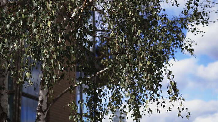 주간 나무 구름 꽃 유럽 상징 여행 건축양식 자연 하늘 아침 영국 잉글랜드 파노라마 풍경 사람없음 건물 물 빛 강 도시풍경 햇빛 고층빌딩 도시 역사 심볼 런던 스카이라인 천연기념물 랜드마크 수도권 왕국 템스강 4K MOV 해외동영상 클립영상 자연요소 식물 건축물 건축 나라 촬영기법 빌딩 태양 생태계 지역 동영상 파일형식